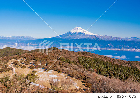 (静岡県)降雪した達磨山高原から望む、富士山 (静岡県)降雪した達磨山高原から望む、富士山 85574075