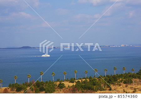 海辺の公園 85574360