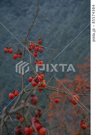 冬のかつらぎ町四郷　和歌山県伊都郡かつらぎ町 85574364