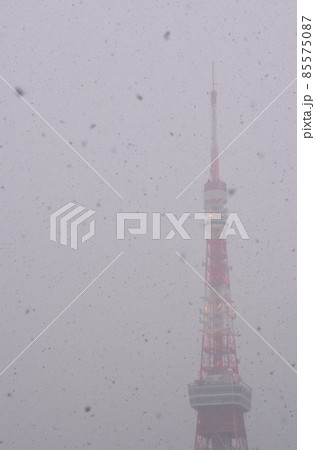 牡丹雪の舞う東京タワー 85575087