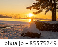 海の公園雪景色 85575249