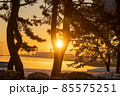 海の公園雪景色 85575251
