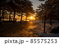 海の公園雪景色 85575253