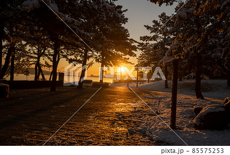海の公園雪景色 海の公園雪景色 85575253