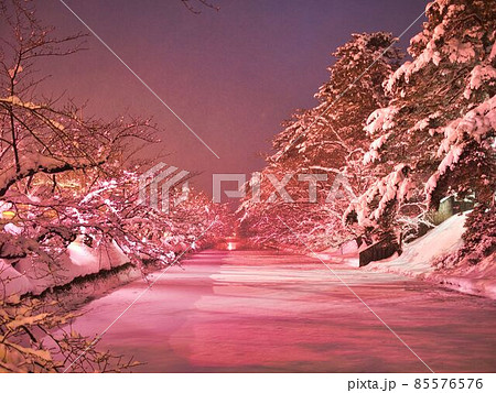 弘前市　冬の桜　ライトアップ 85576576