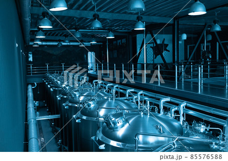 Industrial interior of modern craft brewery with chrome cylindrical metal beer tanks. Private microbrewery. 85576588