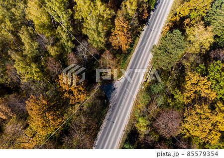 Aerial view of the road going through the autumn forest Aerial view of the road going through the autumn forest 85579354