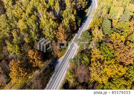Aerial view of the road going through the autumn forest 85579355