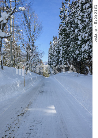 雪国の山道【北安曇郡小谷村】 雪国の山道【北安曇郡小谷村】 85580181