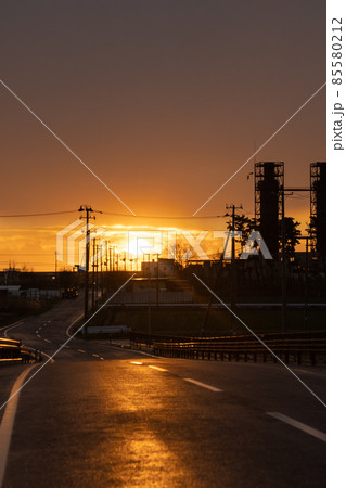 朝陽の一本道 85580212