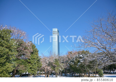 冬の千葉ポートタワー 85580610