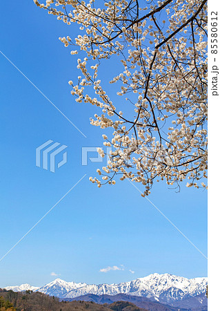 長野県/ 小川村の春・北アルプス 長野県/ 小川村の春・北アルプス 85580612