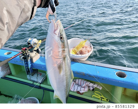 ブリ ワラサ メジロ 船釣り 釣船 釣竿 ロッド リール 85581329