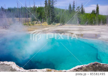イエローストーン湖畔の熱泉Abyss Pool イエローストーン湖畔の熱泉Abyss Pool 85581495