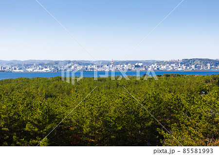 桜島より鹿児島市内を望む 桜島より鹿児島市内を望む 85581993