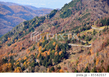 県道66号線奥山田の晩秋の景色 県道66号線奥山田の晩秋の景色 85582037