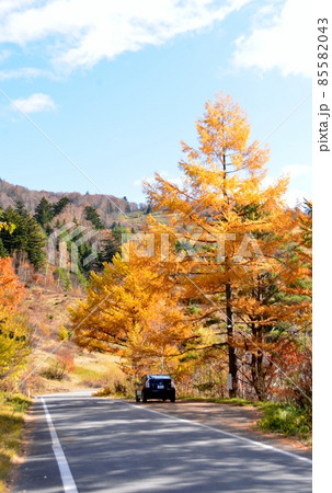晩秋の県道66号線 85582043