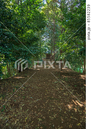 永明寺　永明寺古墳　薬師堂方向　羽生市 85582239