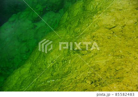 イエローストーン国立公園 モーニング・グローリー・プール イエローストーン国立公園 モーニング・グローリー・プール 85582483