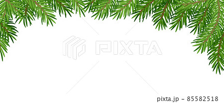 Fir branch on white background for website header 85582518