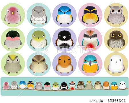 フワフワ鳥シリーズ A 背景付き 85583301