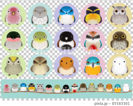 フワフワ鳥シリーズ A 背景付き 85583301