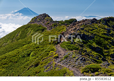 八ヶ岳連峰・横岳から見る三叉峰と富士山 85583612