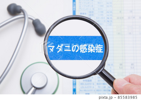 マダニ感染症　医療イメージ 85583985