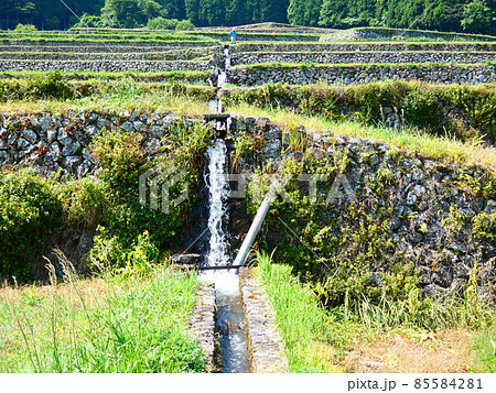 棚田 85584281