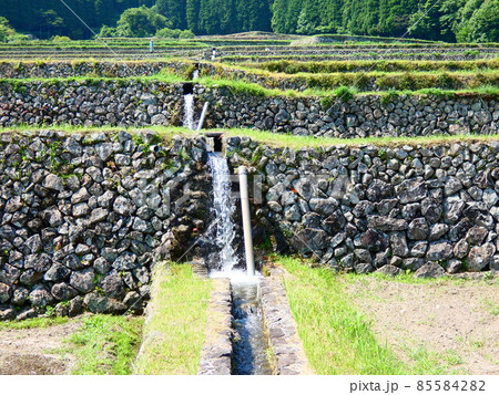 棚田 棚田 85584282