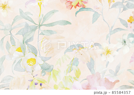 Beautiful watercolor flower rose flower illustration Beautiful watercolor flower rose flower illustration 85584357