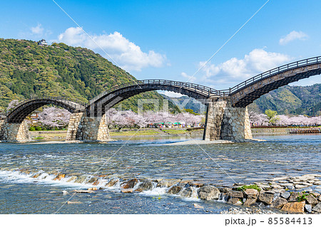 山口県岩国市 晴天の錦帯橋と桜の花 山口県岩国市 晴天の錦帯橋と桜の花 85584413