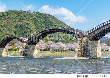 山口県岩国市 晴天の錦帯橋と桜の花 山口県岩国市 晴天の錦帯橋と桜の花 85584415