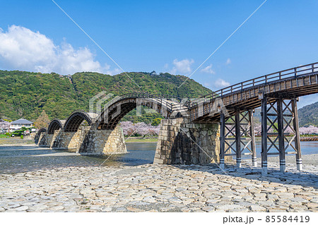 山口県岩国市　晴天の錦帯橋と桜の花 85584419