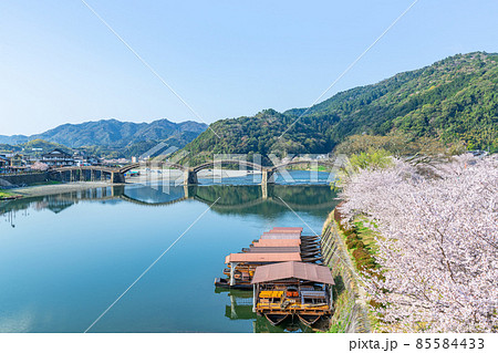 山口県岩国市 晴天の錦帯橋と桜の花 山口県岩国市 晴天の錦帯橋と桜の花 85584433
