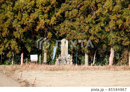鳥居強右衛門磔死之趾 鳥居強右衛門磔死之趾 85584967