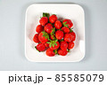 イチゴ フルーツ 果物 85585079