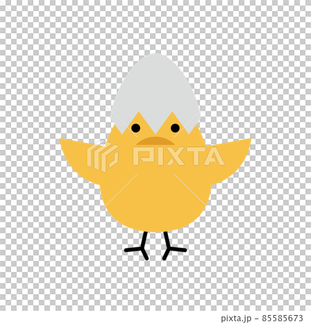 卵の殻を被ったひよこのイラスト 卵の殻を被ったひよこのイラスト 85585673