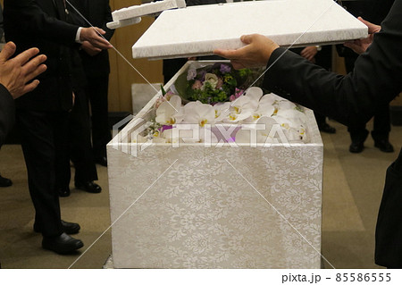 お別れ お別れ 85586555