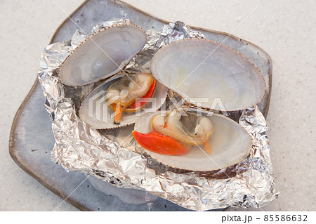 スダレガイ 85586632