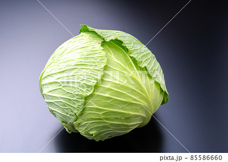 キャベツ 85586660