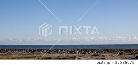 太平洋の静かな時間 85586679