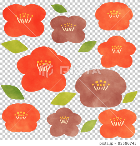 Camellia illustration material Camellia illustration material 85586743