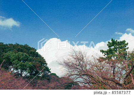 上野の風景 上野の風景 85587377