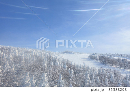 ユートピアゲレンデ　樹氷　霧氷　蔵王 85588298