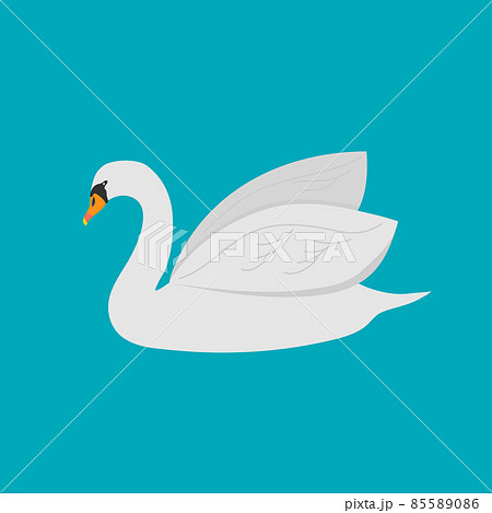 White Swan with blue background.Vector illustration 85589086