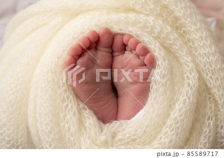 The tiny foot of a newborn. Soft feet of a newborn in a white woolen blanket. Close up of toes, heels and feet of a newborn baby. Studio Macro photography. Woman's happiness. Concept. 85589717