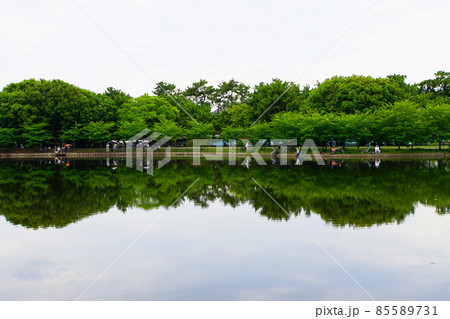 大阪 豊中 服部緑地公園 山ヶ池での釣り人(梅雨) 大阪 豊中 服部緑地公園 山ヶ池での釣り人(梅雨) 85589731