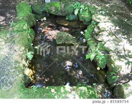神戸 摩耶山天上寺 産湯の井(真夏) 神戸 摩耶山天上寺 産湯の井(真夏) 85589754