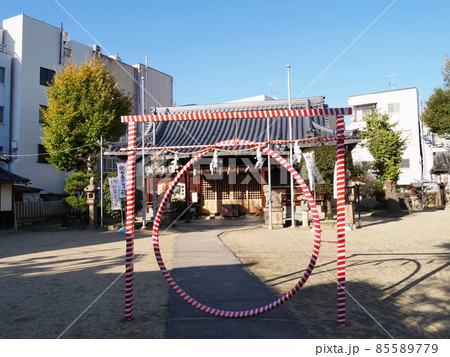 大阪　八尾市　八尾神社と茅の輪　拝殿（初冬） 85589779